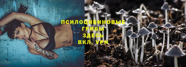 тгк Армянск