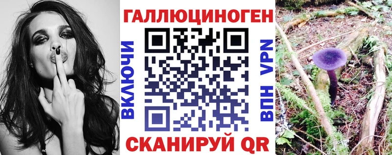KRAKEN ТОР Кирово-Чепецк Псилоцибиновые грибы Magic Shrooms